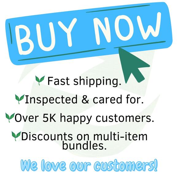 Kobi Halperin Steffi Striped Shirtdress Womens Midi Dress XS Colorful Southwest - Picture 13 of 13